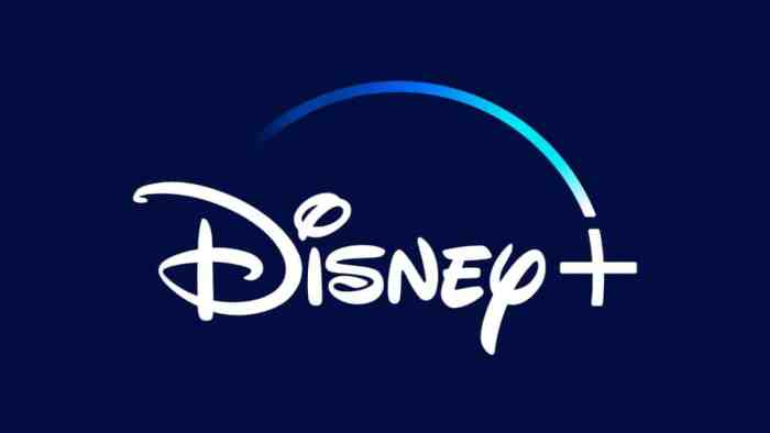 Disney+ Large