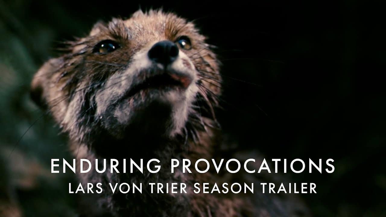 Enduring Provocations: The Films of Lars von Trier / In cinemas from 4 August