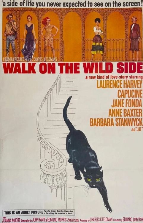 Walk On The Wild Side (1962)