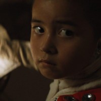 The Creator / Gallery