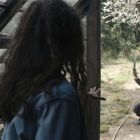 Never Let Go | Images