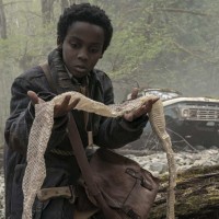 Never Let Go | Images