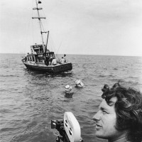 Jaws - Gallery