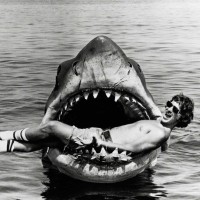 Jaws - Gallery